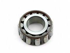 Renault Şanzıman Rulmanı - Clio Megane Kangoo SNR EC 40987 H206 FN4 8200115697