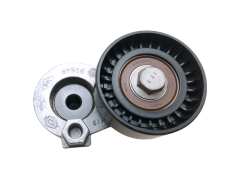 Gergi Bilyası - Renault Clio 4 Megane 4 Dacia Duster