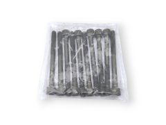 Renault 1.6 Silindir Kapak Vidası Saplama Adet - Megane Duster Fluence Lodgy 11056ED000