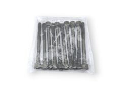 Renault 1.6 Silindir Kapak Vidası Saplama Takım - Megane Duster Fluence Lodgy 11056ED000