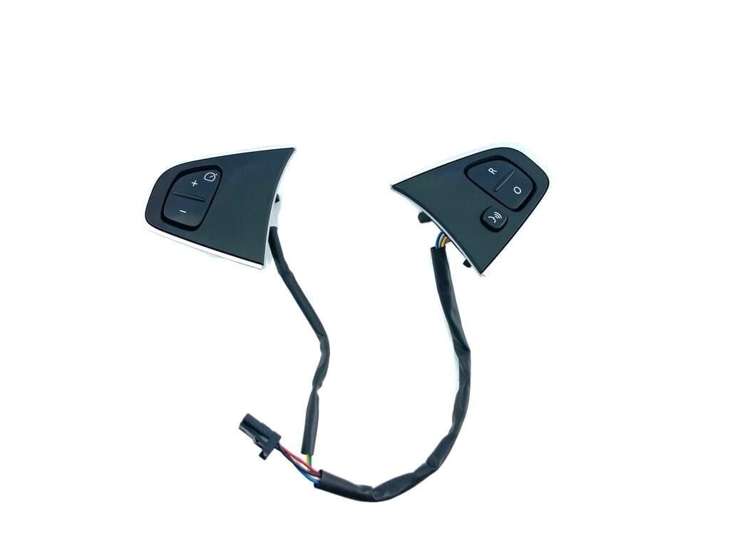 Hız Sabitleme Düğmesi - Renault Clio 4 225500009R